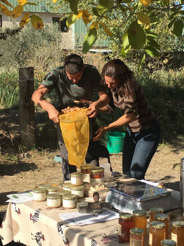 Vue aérienne des Vergers de la Galine, ferme en agroforesterie dans les Alpes de Haute Provence