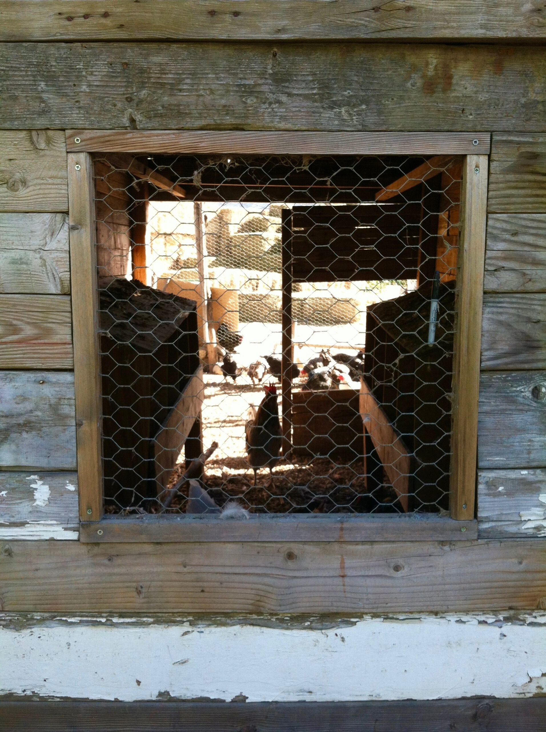 Vue aérienne des Vergers de la Galine — vergers et élevage en agroforesterie