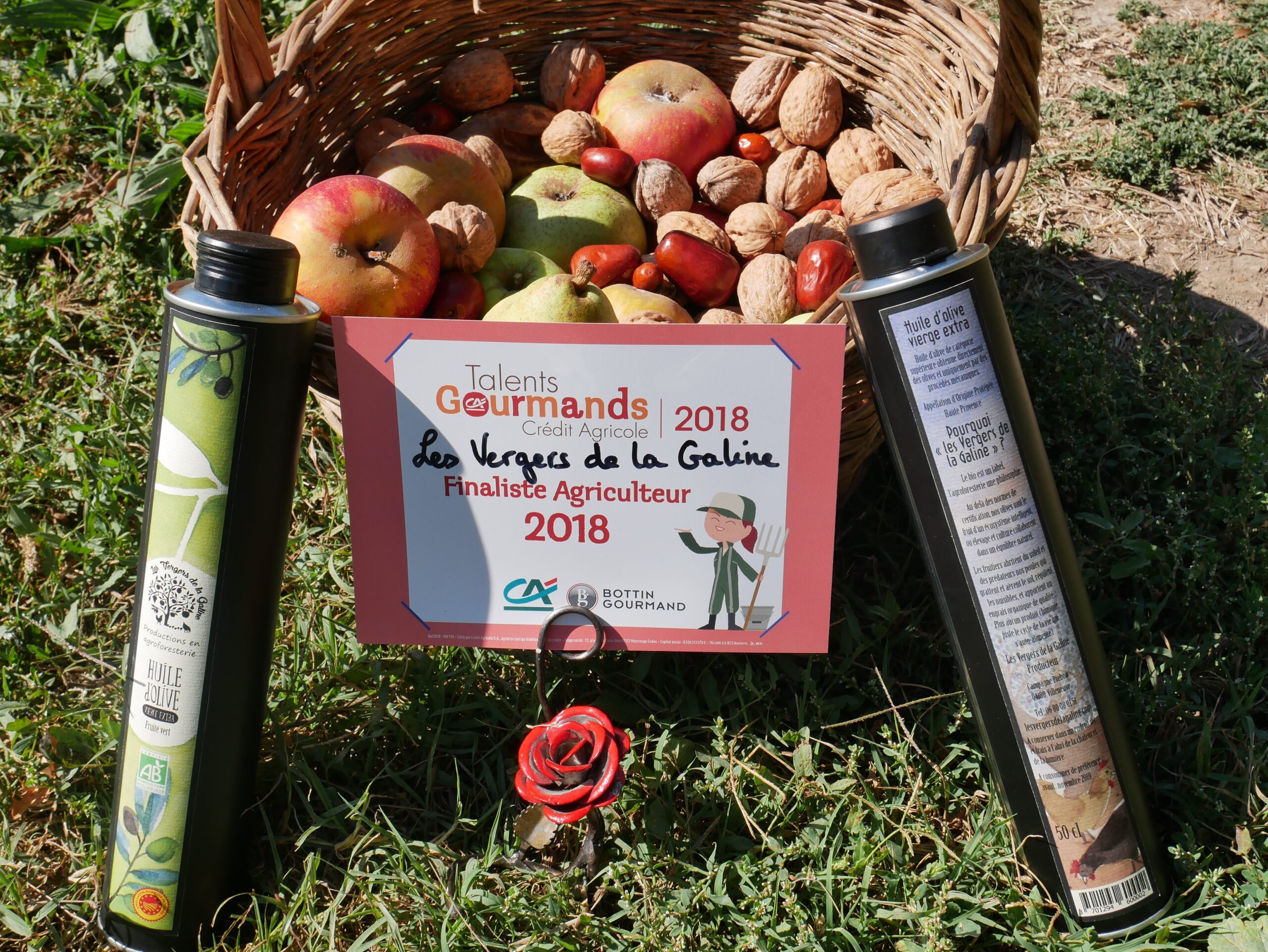 Huile d'olive artisanale produite en Provence